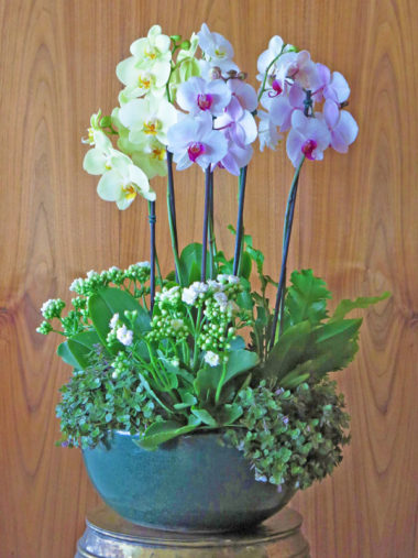 Arranjo de Orquídeas Médio