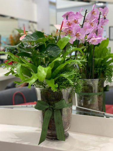 Arranjo Cidade Jardim