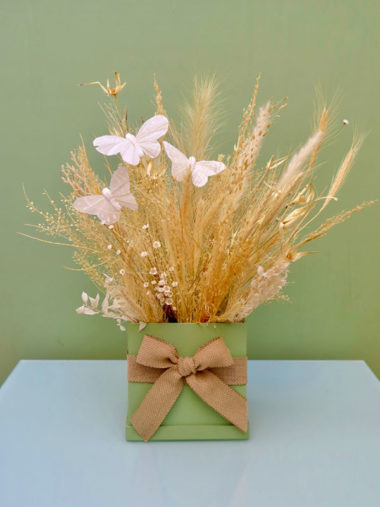 Caixa Anita Primavera